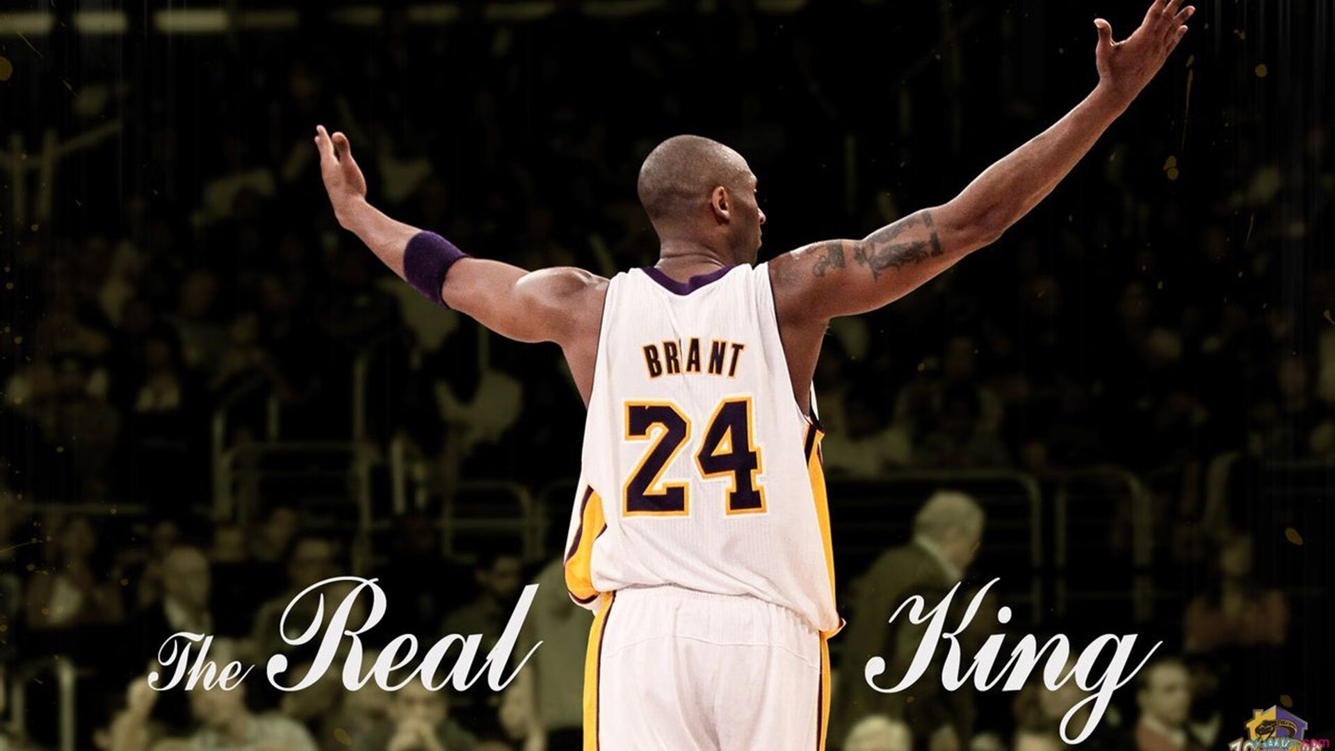 赛场变革：智能化与自动化的融合，自动化智能化系统